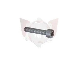 Schraube M5x25