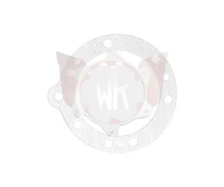 R11 - Dichtung Membrane weiß