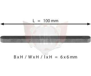 ACHSKEIL 6x6x100mm