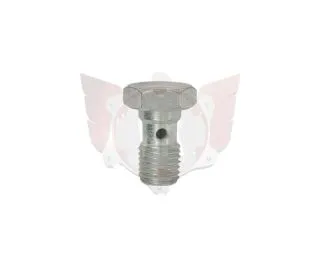 HOHLSCHRAUBE M8x1 FÜR ANSCHLUSS