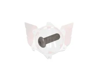 SCHRAUBE 1/4-28x3/4 BHCS