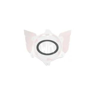 O-RING FÜR AUSLAUF INNEN IM