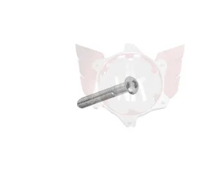 LINSENKOPFSCHRAUBE M5x30mm