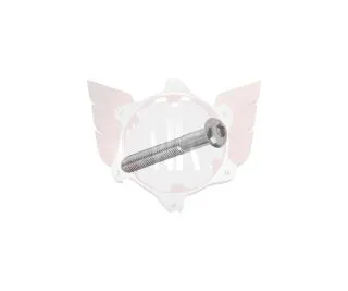LINSENKOPFSCHRAUBE M5x35mm