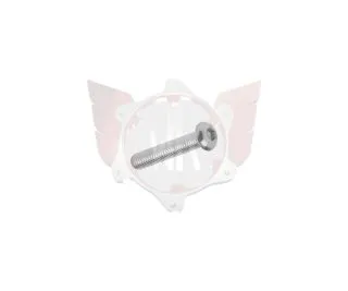 LINSENKOPFSCHRAUBE M6x25mm