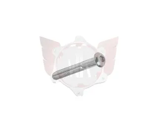 LINSENKOPFSCHRAUBE M6x35mm