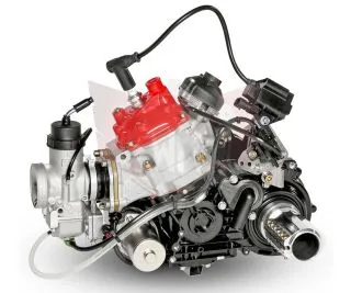 MOTOR 125 DD2 EVO