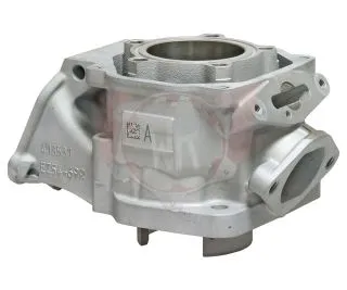 Zylinder 2024 SENIOR MAX 54,000-54,010
