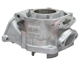 Zylinder 2024 DD2 54,010 - 54,015mm