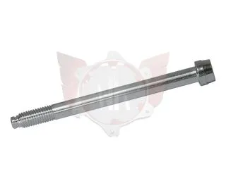 INBUSSCHRAUBE ACHSSCHENKEL 10x108 M10