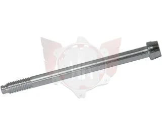 INBUSSCHRAUBE ACHSSCHENKEL 10x120 M10