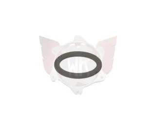 O-Ring für Antriebsrad
