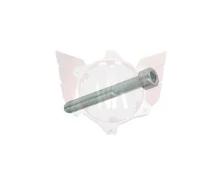 ZYLINDERKOPFSCHRAUBE 8.8 M6x45mm