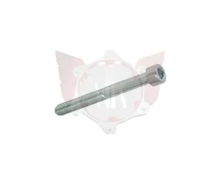 ZYLINDERKOPFSCHRAUBE 8.8 M6x55mm