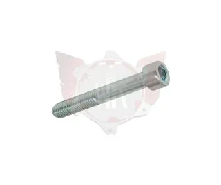 ZYLINDERKOPFSCHRAUBE 8.8 M8x55mm